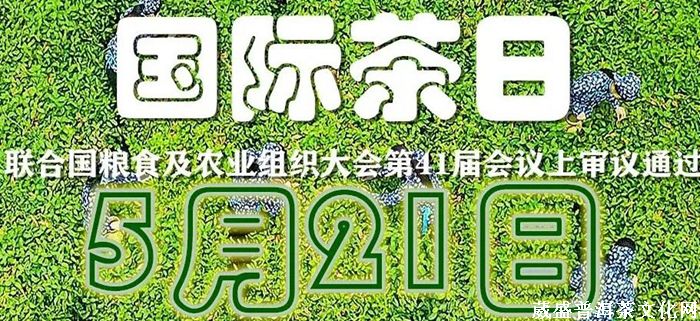 一山一味||同一款茶，兩次品茗？